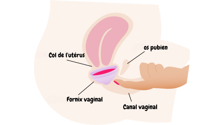 Un'inserzione in tutta dolcezza